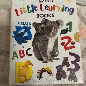 MY FIRST LITTLE LEARNING BOOKS (ABC, 123, Colors)